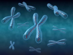 Chromosome with DNA strand